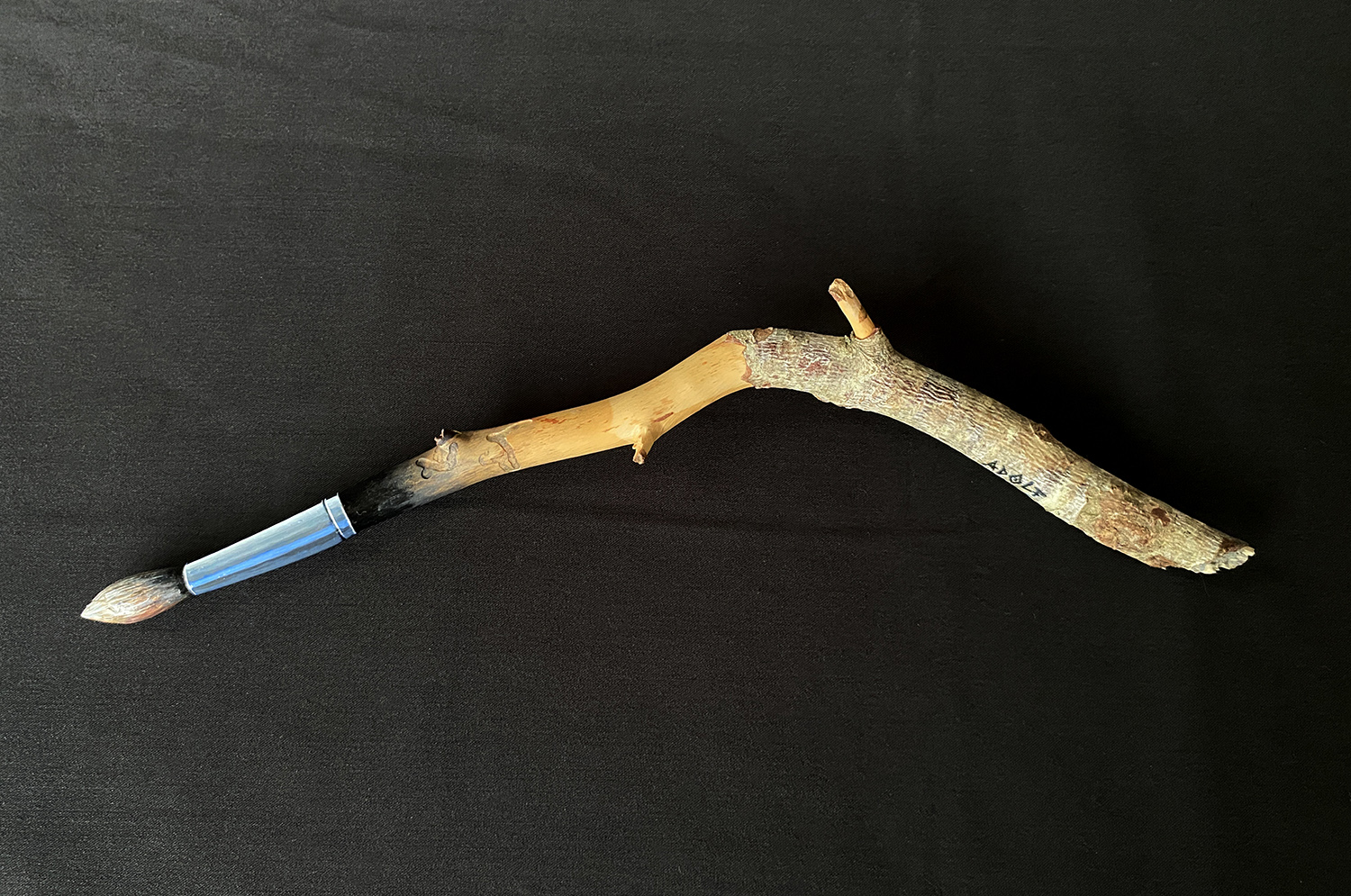 objecte po�tic branqueta de pi pinzell