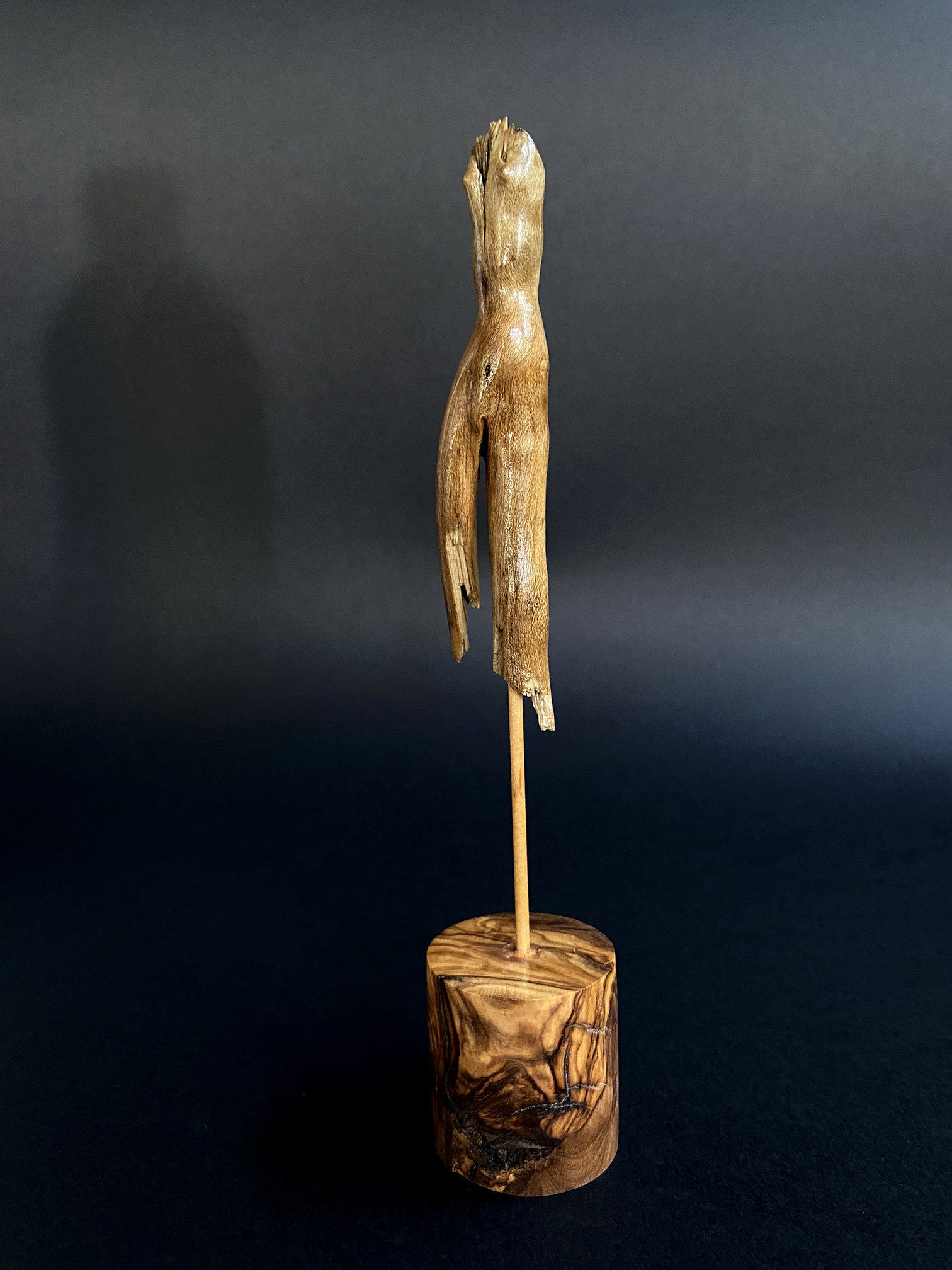 la venus de begur pals fusta